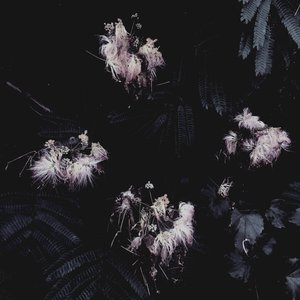 Silcasoid Beats Vol. I