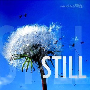 Still - Single