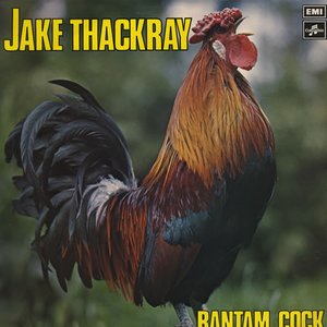 Bantam Cock