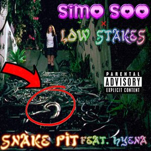 snake pit (LOW STAKES Remix) [feat. Hyena] - Single