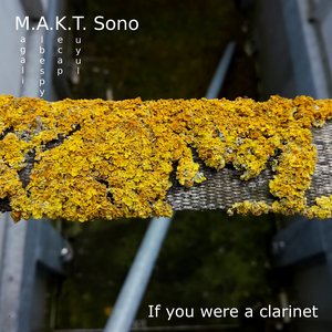 If you were a clarinet