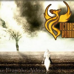 rise from the ashes