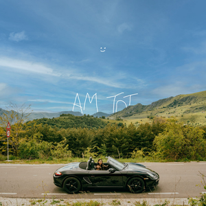 Artwork for Am tot
