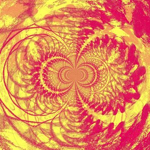II - Manifestations