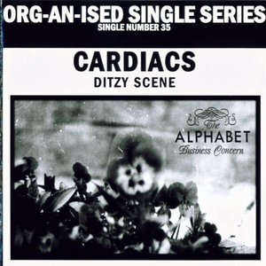 Ditzy Scene - Single