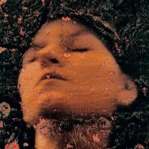 sweet dreams, see you tomorrow