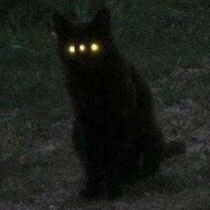 You'll Be Mine (Sylendanna Remix)