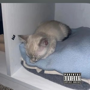 Everyone Wins [Explicit]