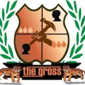 THE GROSS 的头像