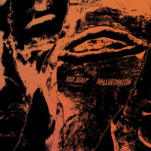 Hallucination