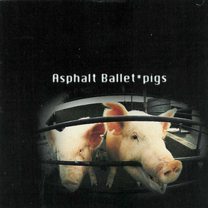 Pigs cover