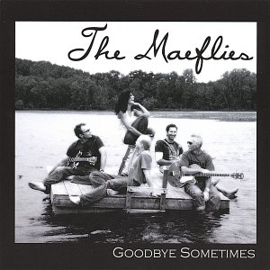 Goodbye Sometimes