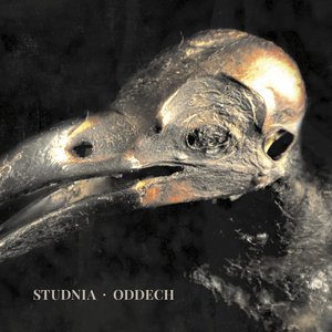 Oddech
