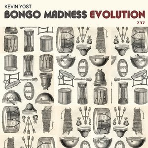 Bongo Madness Evolution