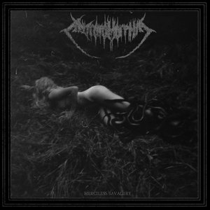 Merciless Savagery [Explicit]