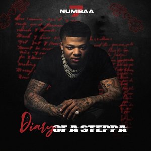 Diary of a Steppa