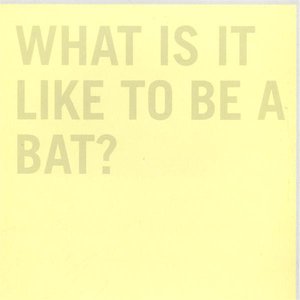 What It Is Like To Be A Bat?