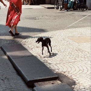 Sunset With You - Single