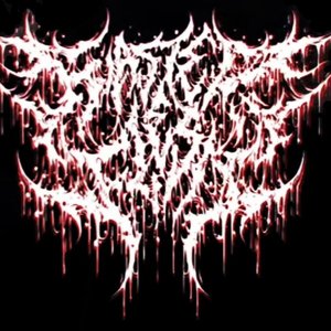 WASTED FLESH 的头像