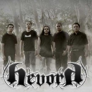 Hevora 的头像