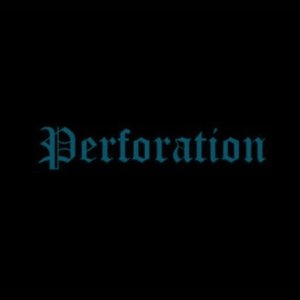 Perforation 的头像