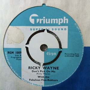 Ricky Wayne & The Flee-Rakkers 的头像