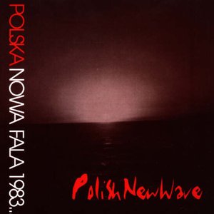 “Polska Nowa Fala 1983...”的封面