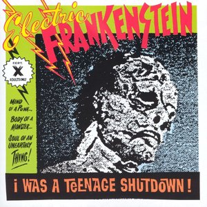 I Was a Teenage Shutdown