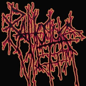 “RAT TORTURE VICTIM”的封面