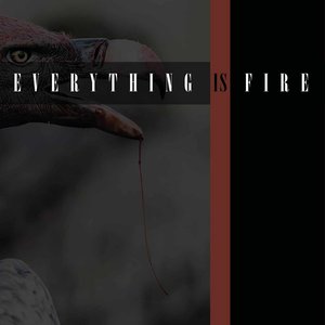 Everything is Fire