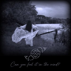 Can You Feel It In The Wind?