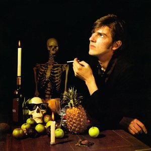 Robyn Hitchcock 的头像