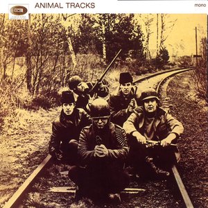 Animals Tracks