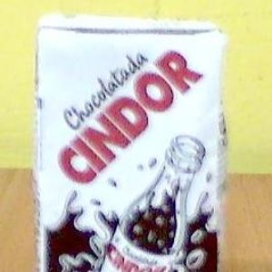 “Tomás Cindor”的封面