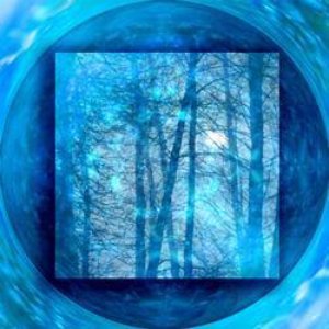 Avatar für Blue Forest