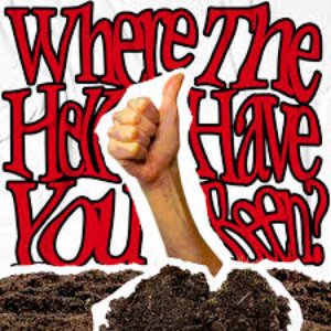 Where The Hell Have You Been?