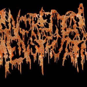 Anorectal Menstruation 的头像