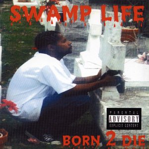Swamp Life 的头像