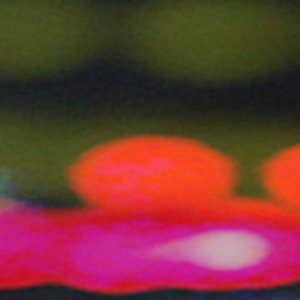 Jumbo Pimp 的头像