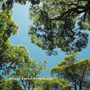 Serene Forest Soundscape