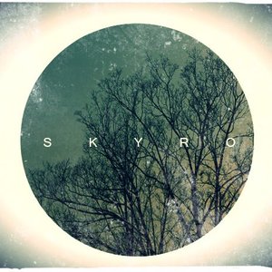 Skyro 的头像