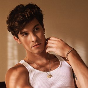 Shawn Mendes 的头像