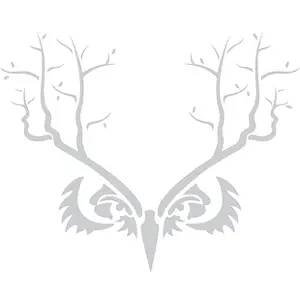 Owls of Getchü