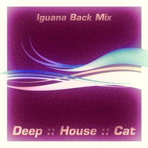 April 2008 :: Cut 2 :: Iguana Backs Mix