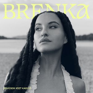 Kavicsok Közt Kagyló - EP