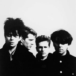 Echo & the Bunnymen のアバター