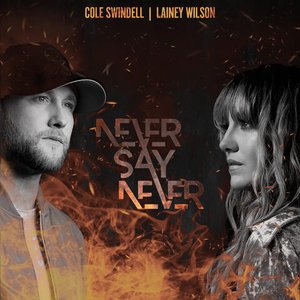 Never Say Never - Single