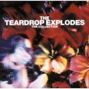 The Teardrop Explodes: The Collection