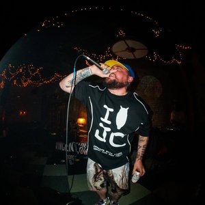 Avatar for VINCENT, THE OWL