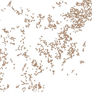 Species pluralis 的头像
